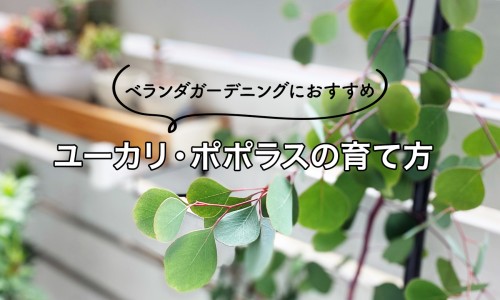 脸部面瘫能治好吗-脸部面瘫的症状网 - 网站提供脸部面瘫是什么症状小常识、脸部面瘫挂什么科最好